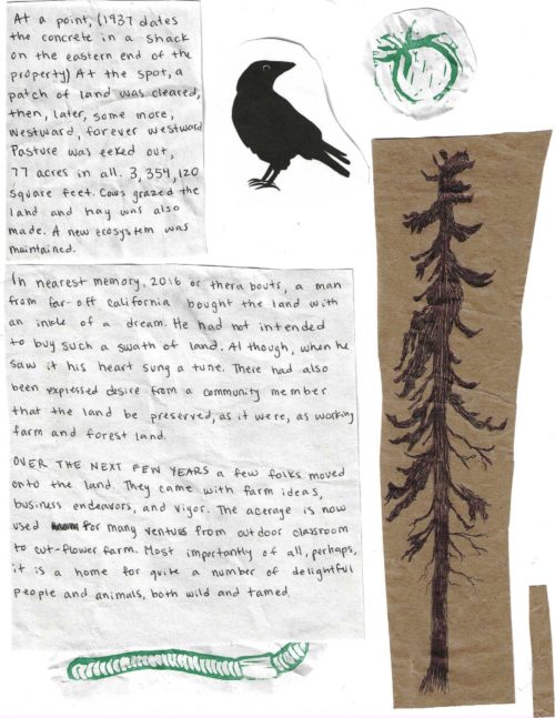 Hawthorn-Garden-Zine_Page_05
