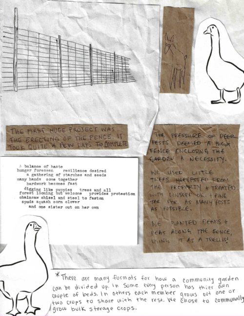 Hawthorn-Garden-Zine_Page_08