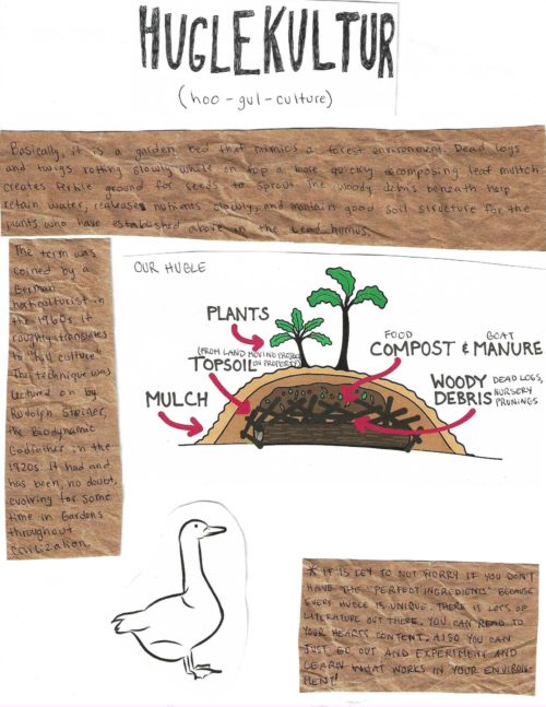 Hawthorn-Garden-Zine_Page_10