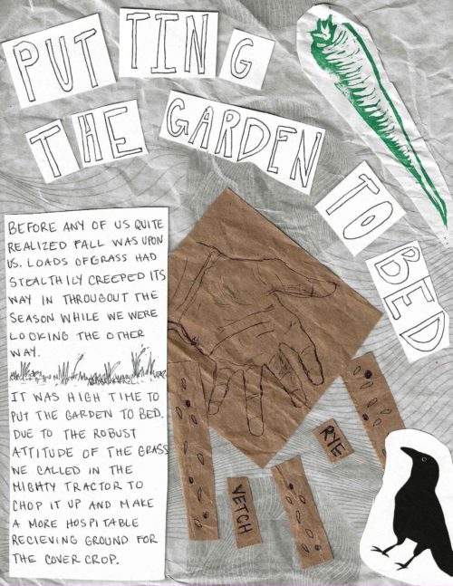 Hawthorn-Garden-Zine_Page_16