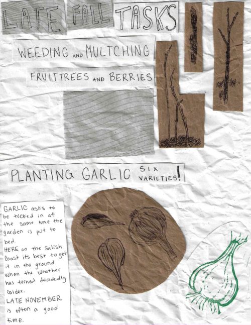 Hawthorn-Garden-Zine_Page_17
