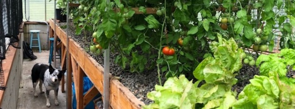 Kitchen Garden